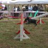 foire-haricots 2011-09-17et18